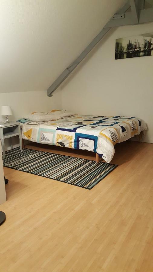 Joli Duplex Gare - Centre Ville Rennes Dış mekan fotoğraf